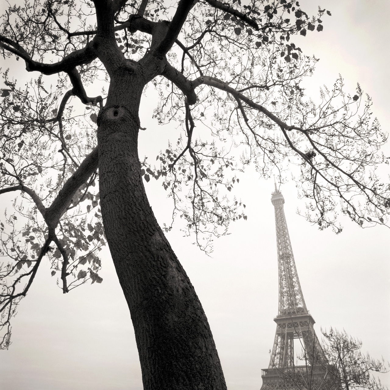 Trocodero Plaza, Paris