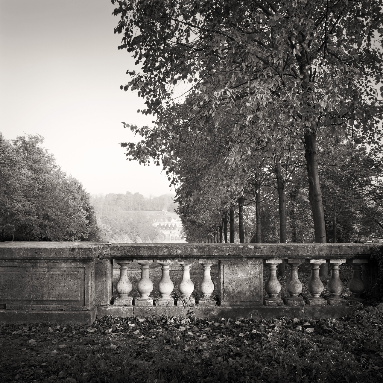 Saint-Cloud Terrace, France