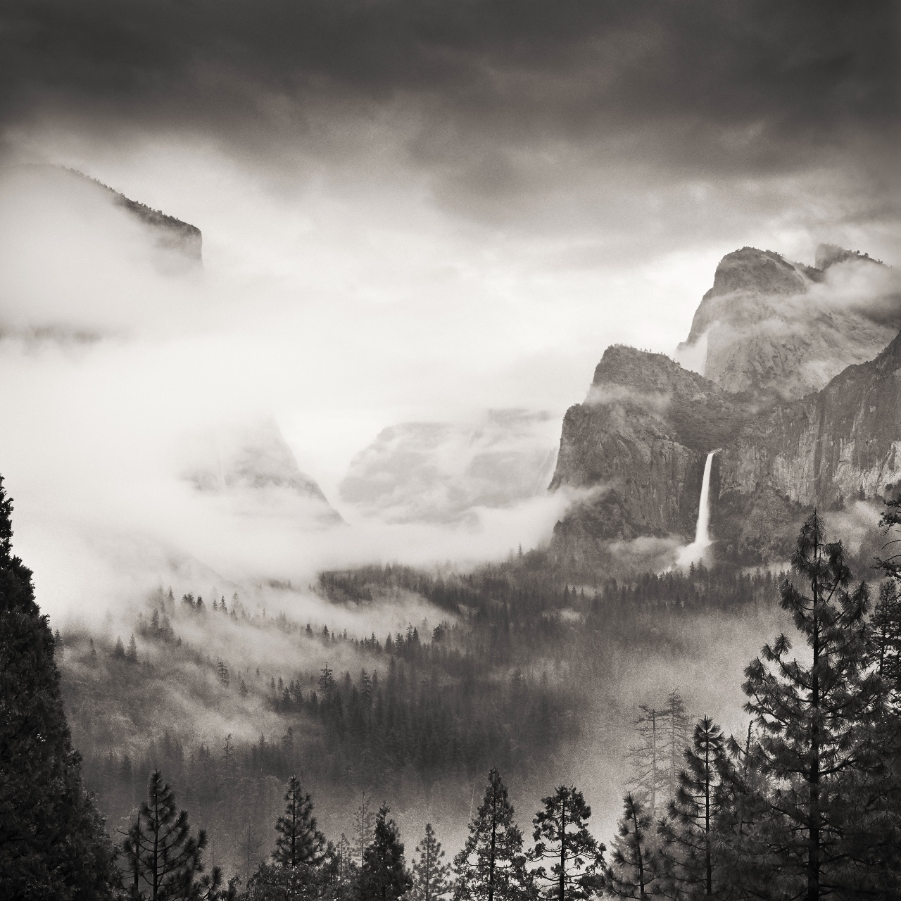 Morning At Yosemite Viewpoint